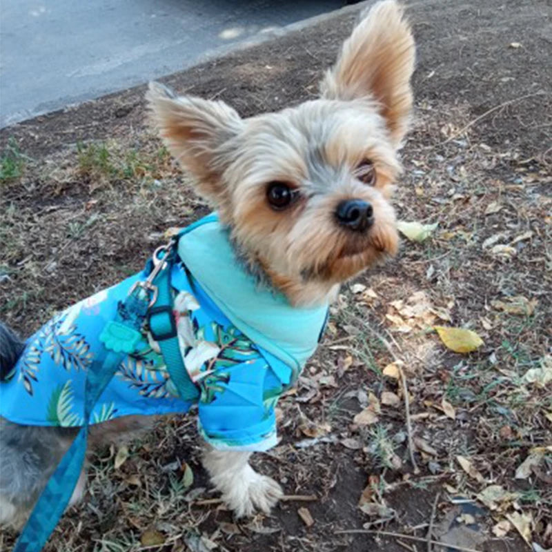 Hawaiian Summer Dog Shirt - Chiffon T-Shirts for Small Dogs & Cats