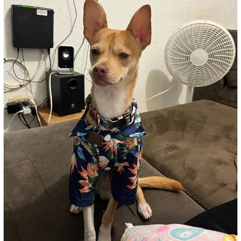 Hawaiian Summer Dog Shirt - Chiffon T-Shirts for Small Dogs & Cats