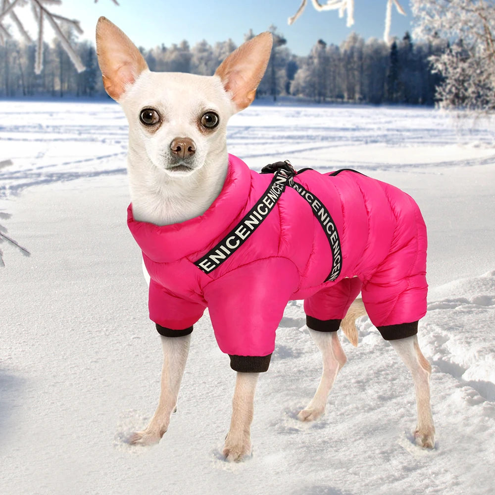 Ultra-Warm Waterproof Dog Jacket for All Sizes - Ideal for French Bulldogs