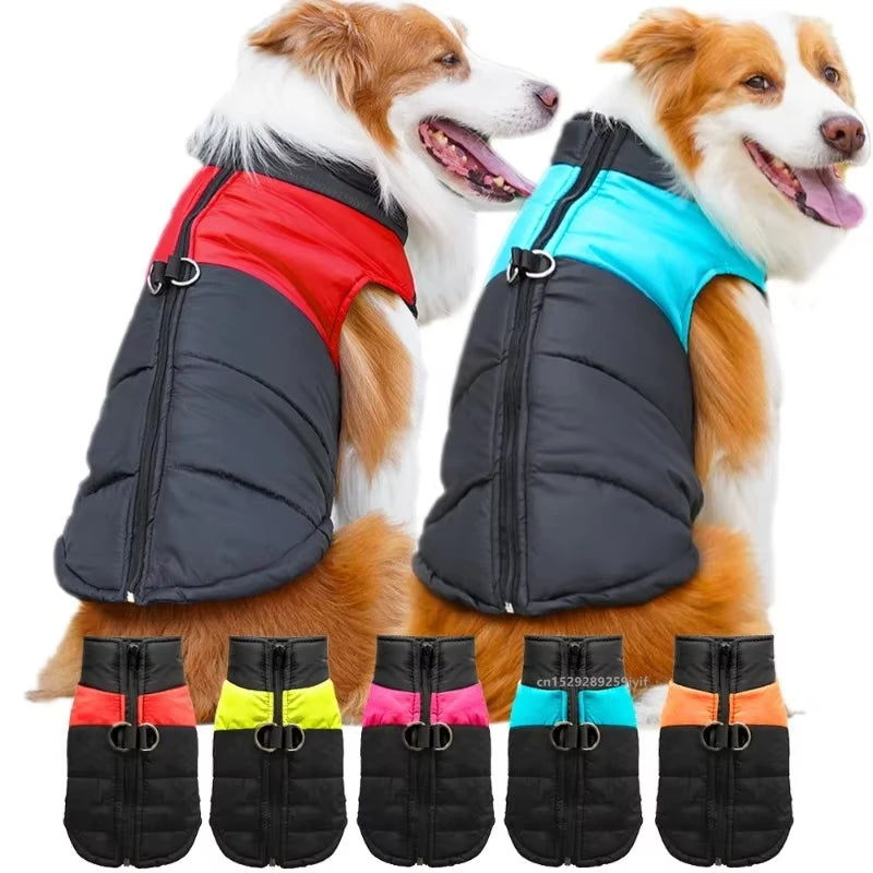 Cozy Waterproof Winter Dog Coat with Zipper - All Sizes