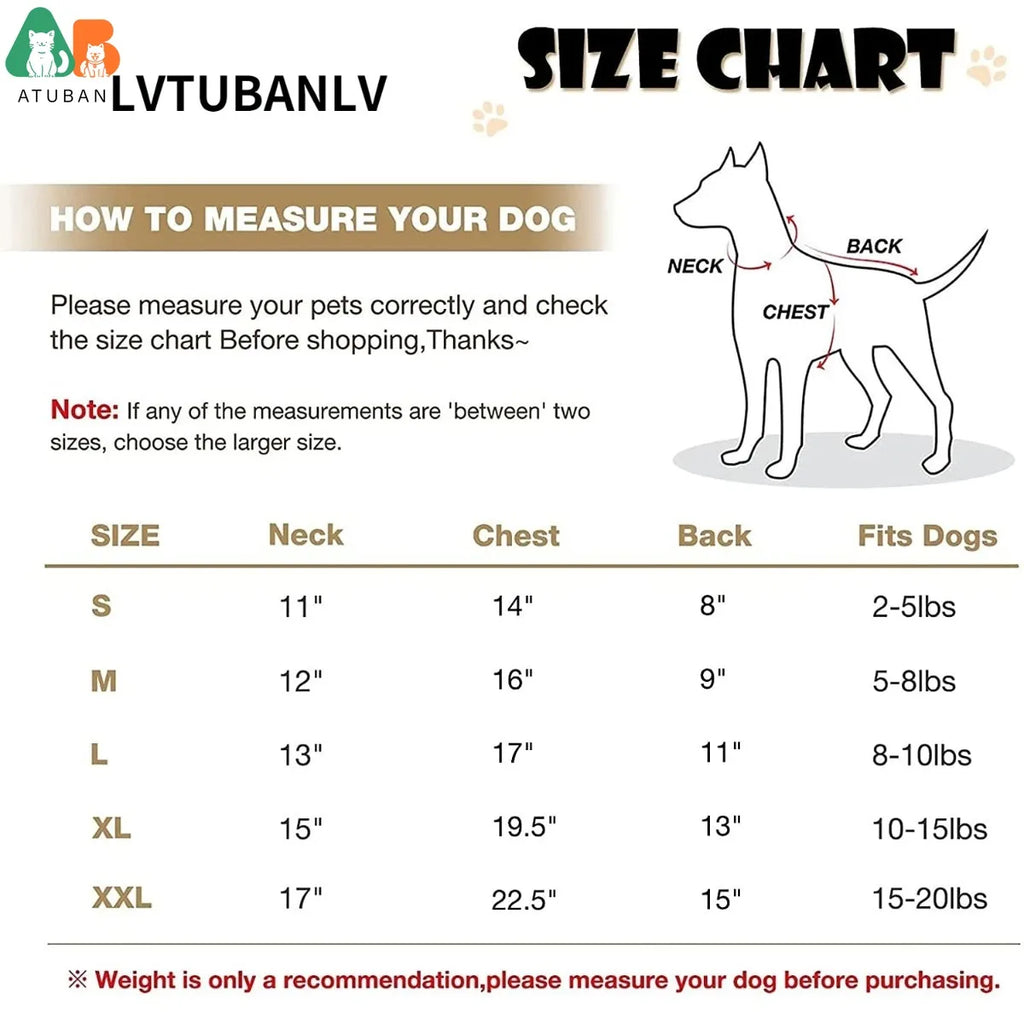 Waterproof Leather Dog Coat - Stylish Winter Jacket for Small to Medium Dogs
