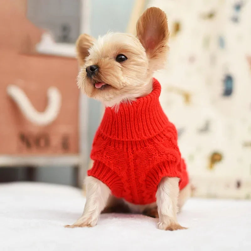 Cozy Knitted Dog Sweater for Small to Medium Breeds - Warm Winter Apparel