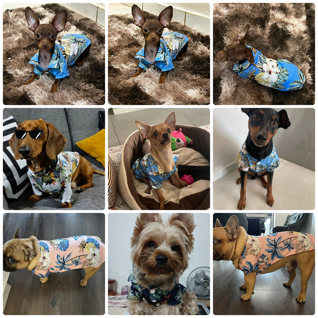 Hawaiian Summer Dog Shirt - Chiffon T-Shirts for Small Dogs & Cats