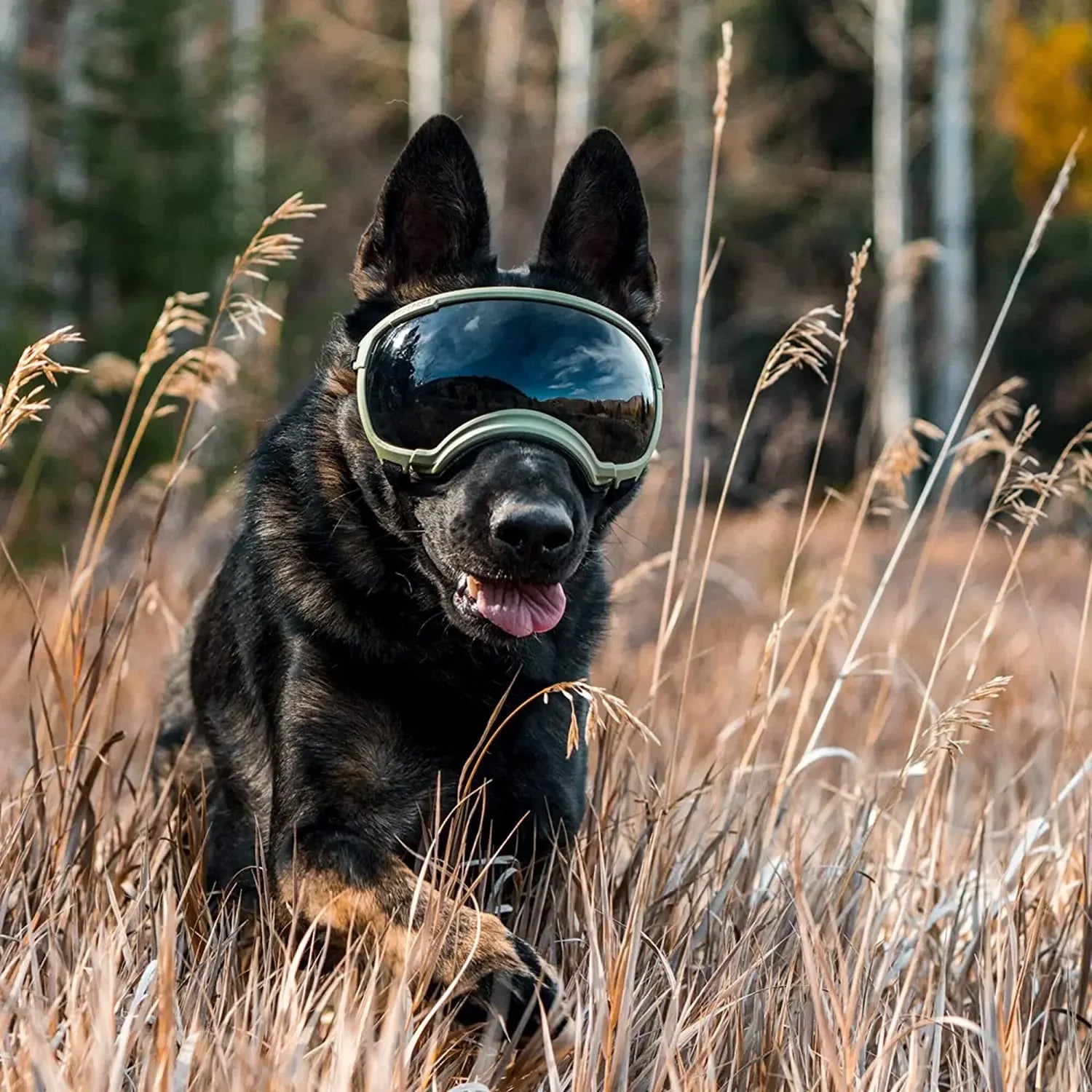 ATUBAN Anti-UV Dog Goggles - Impact Resistant & Breathable Sunglasses