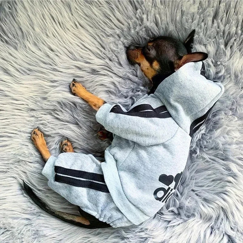 Cozy French Bulldog & Chihuahua Dog Jumpsuit - Autumn/Winter