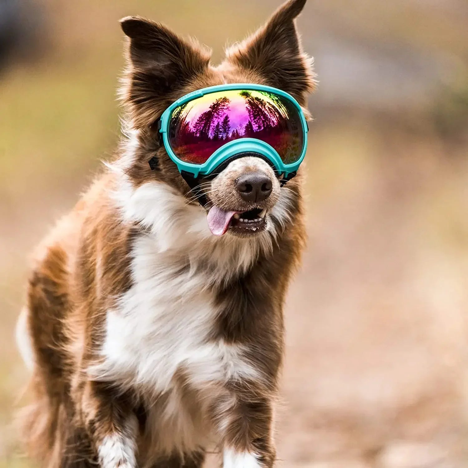 ATUBAN Anti-UV Dog Goggles - Impact Resistant & Breathable Sunglasses