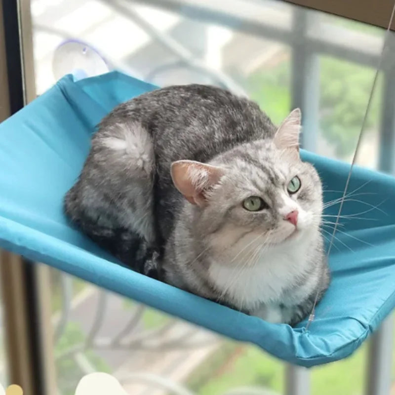 20kg Capacity Hanging Cat Hammock Comfortable Sunny Window Seat Kitten Rock Climbing Frame Pet Bed New Pet Supplies