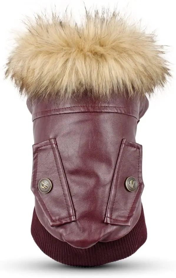 Waterproof Leather Dog Coat - Stylish Winter Jacket for Small to Medium Dogs