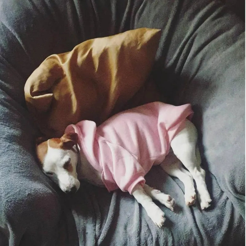 Warm Dog Hoodie Jacket - Windproof Cotton Sweatshirt for Small to Large Dogs