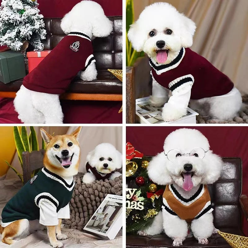 Cozy College Style V-Neck Sweater for Small Dogs & Cats