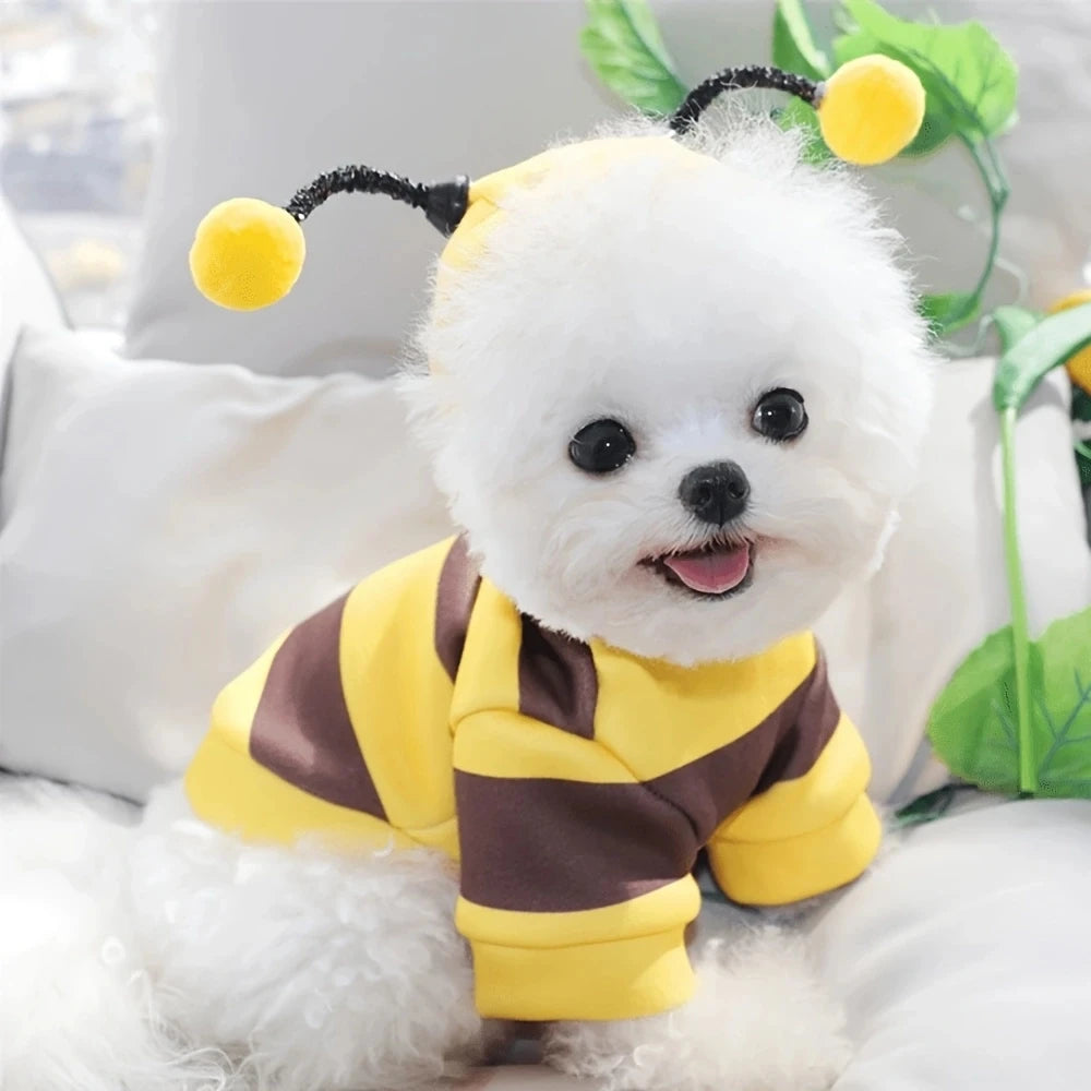 Warm Bee Costume Pet Hoodie - Cozy Halloween & Daily Wear for Dogs & Cats