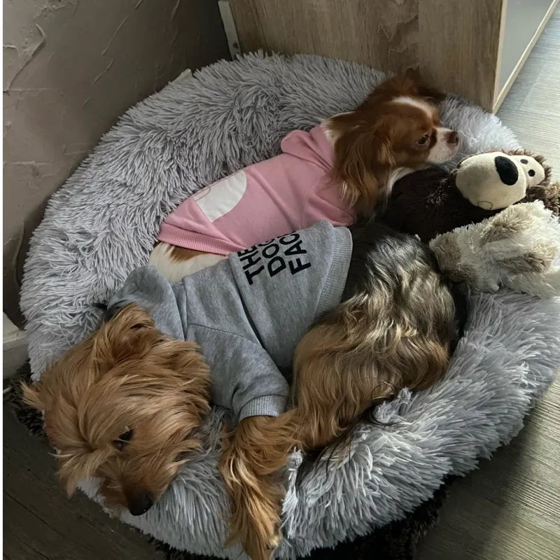 Warm Dog Hoodie Jacket - Windproof Cotton Sweatshirt for Small to Large Dogs