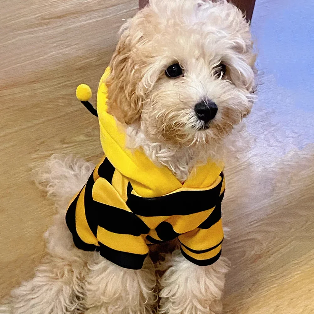 Warm Bee Costume Pet Hoodie - Cozy Halloween & Daily Wear for Dogs & Cats