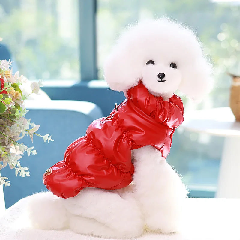 Cozy Winter Padded Pet Jacket for Small to Medium Dogs & Cats