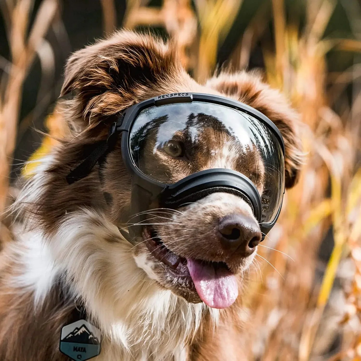 ATUBAN Anti-UV Dog Goggles - Durable, Adjustable Sunglasses for Large Breeds