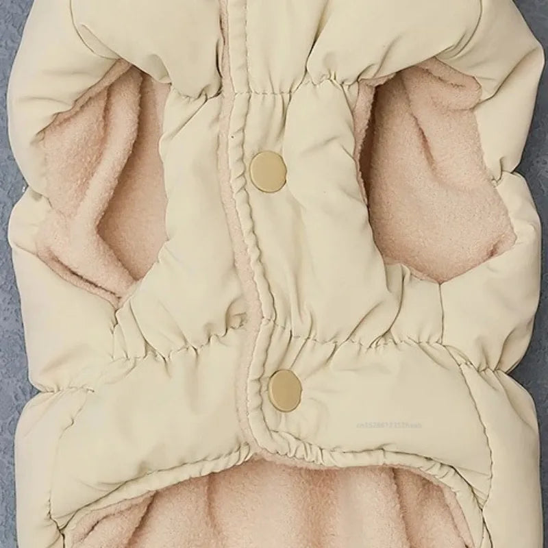 Cozy Winter Padded Pet Jacket for Small to Medium Dogs & Cats
