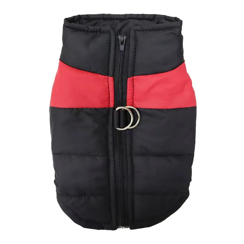 Cozy Waterproof Winter Dog Coat with Zipper - All Sizes