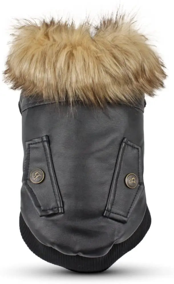 Waterproof Leather Dog Coat - Stylish Winter Jacket for Small to Medium Dogs
