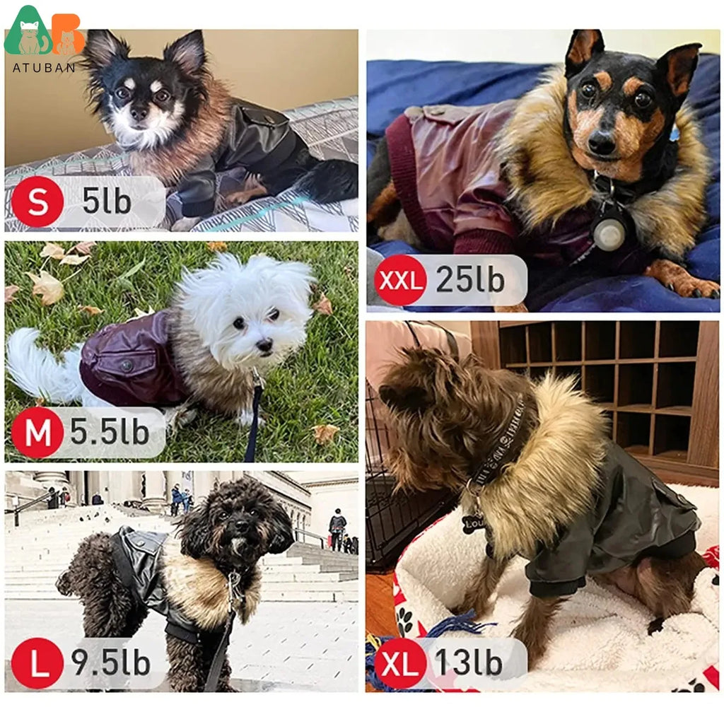 Waterproof Leather Dog Coat - Stylish Winter Jacket for Small to Medium Dogs
