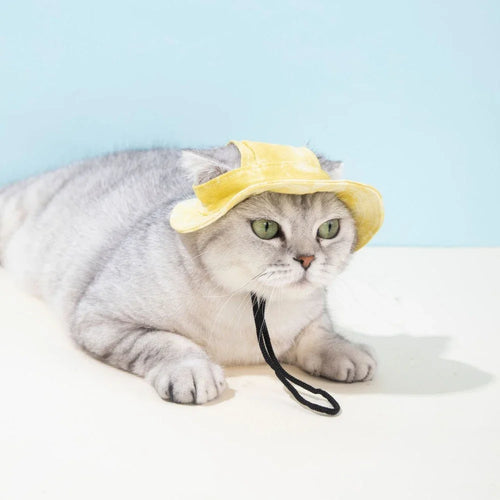 Adjustable Cotton Sun Hat for Dogs & Cats - Ear Holes for Comfort