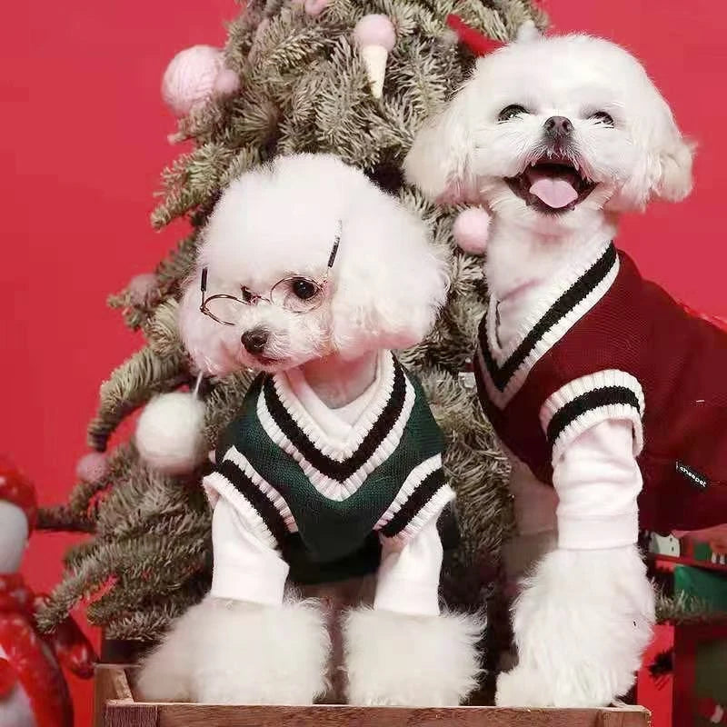 Cozy College Style V-Neck Sweater for Small Dogs & Cats