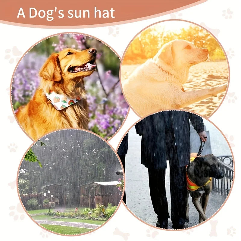 Adjustable Waterproof Dog Sun Hat with Elastic Band for All Breeds